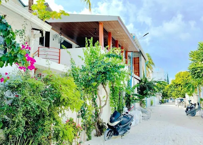 Velaaolhu - Turtle Hive Thulusdhoo